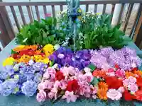 豊平神社の手水舎