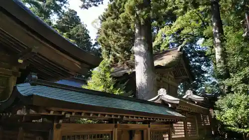 雄山神社前立社壇の本殿