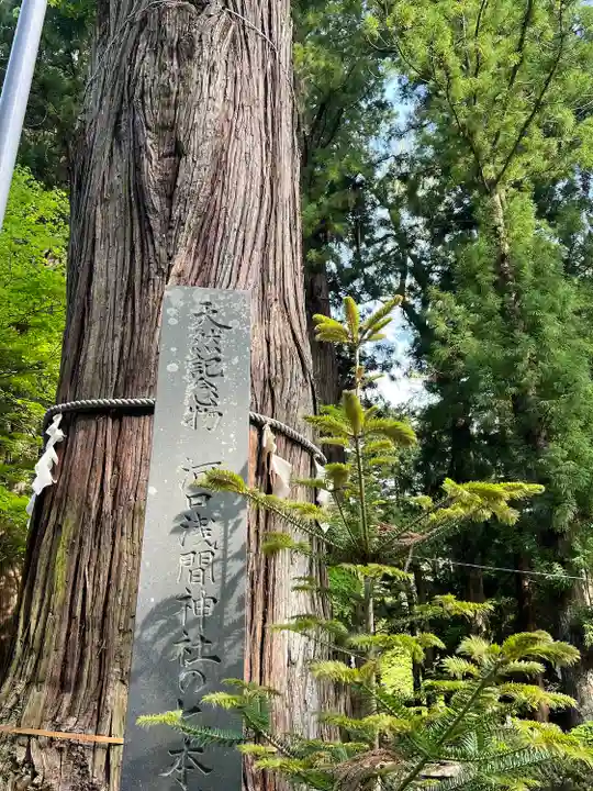 河口浅間神社(山梨県)