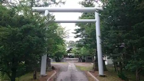 神楽神社の鳥居