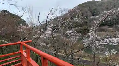 佐久奈度神社(滋賀県)