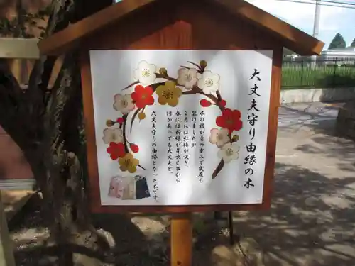 大宮・大原神社(千葉県)