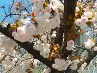 住吉神社(大阪府)