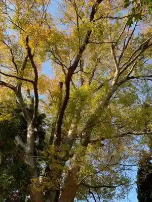 御嶽神社(千葉県)