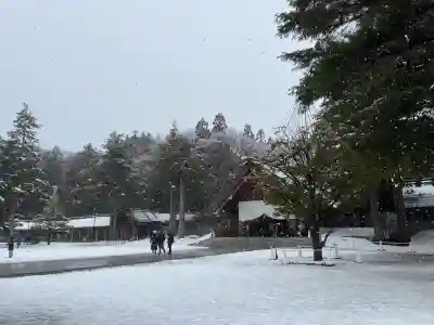 北海道神宮の{uncategorized: "未分類", other: "その他", undefined: "問題あり", building: "その他建物", grave: "お墓", sacred_gate: "鳥居", guardian: "狛犬", statue: "像", buddha: "仏像", history: "歴史", nature: "自然", garden: "庭園", animal: "動物", pagoda: "塔", temizu: "手水舎", mountain_gate: "山門・神門", sanctuary: "本殿・本堂", subordinate: "末社・摂社", art: "芸術", scenery: "景色", jizo: "地蔵", ema: "絵馬", goshuin: "御朱印", omikuji: "おみくじ", items: "授与品その他", amulet: "お守り", goshuincho: "御朱印帳", eats: "食事", festival: "お祭り", votive_dance: "神楽", shichigosan: "七五三参", wedding: "結婚式", experience: "体験その他", initially: "初詣", around: "周辺", anti_infection: "感染症対策"}