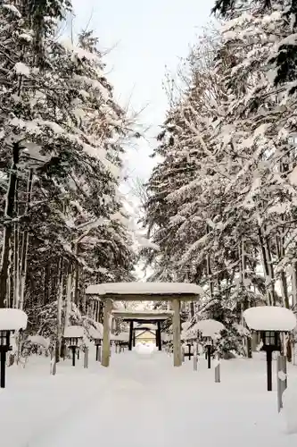 秩父神社の鳥居