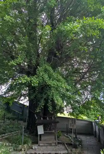 堤治神社(愛知県)