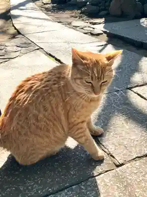奥澤神社(東京都)