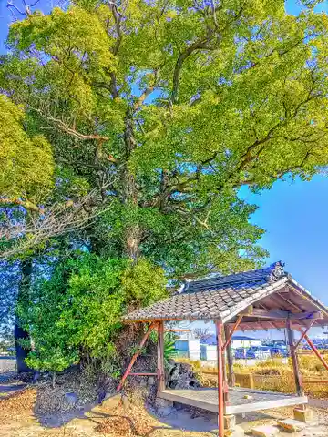 白山社の本殿・本堂