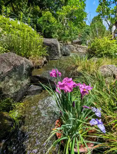 長谷寺(神奈川県)