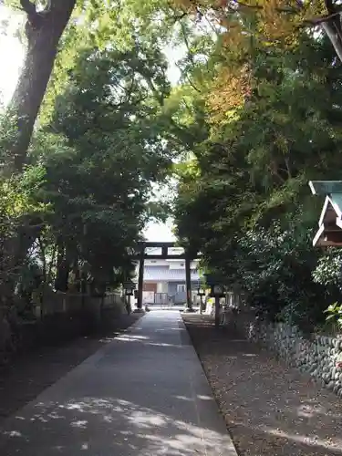 大井神社の鳥居