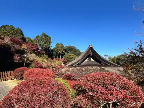 常樂寺(滋賀県)