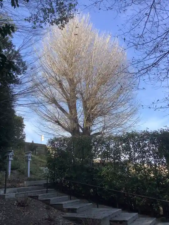 堤治神社の自然
