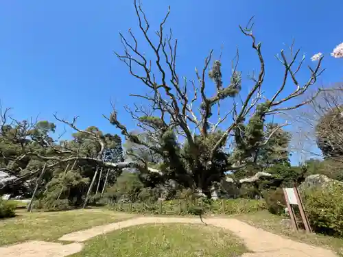 クスの森若宮神社の庭園