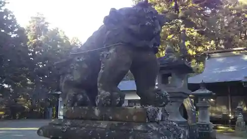 宇迦神社の狛犬