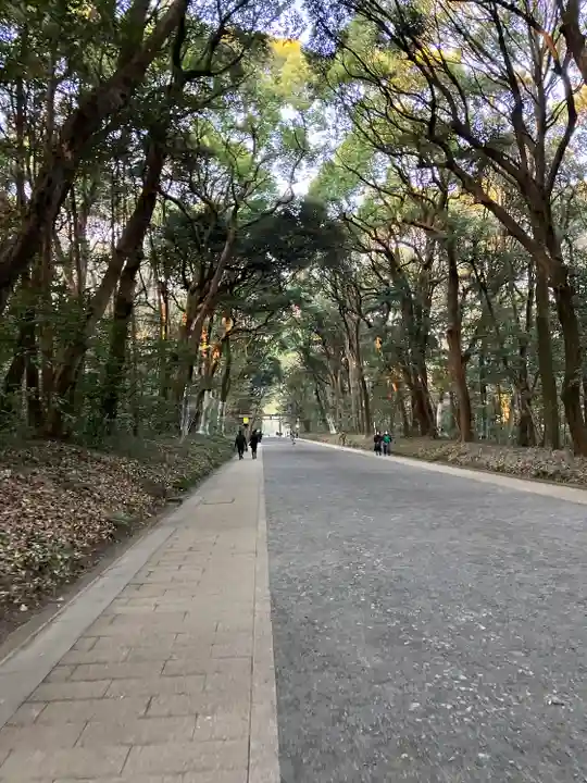 明治神宮(東京都)