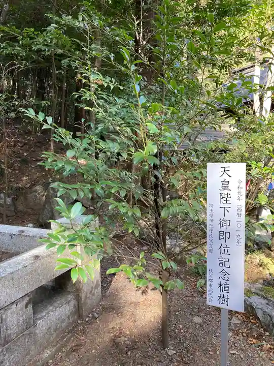 宝登山神社(埼玉県)