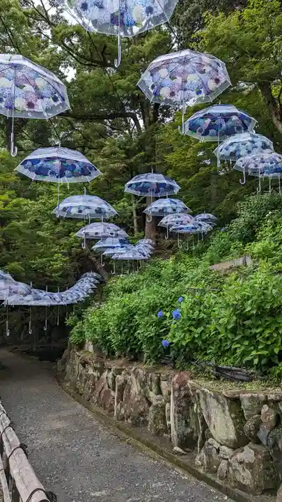 柳谷観音 楊谷寺(京都府)