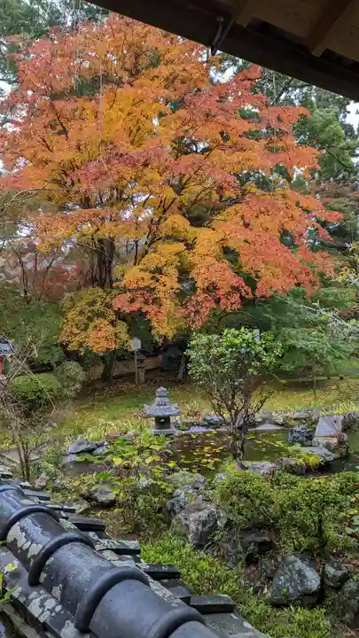 十輪寺(京都府)
