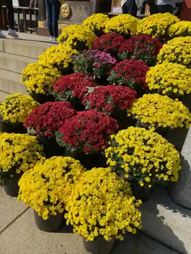 大山阿夫利神社(神奈川県)