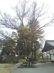 武田神社の庭園