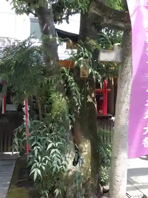 文子天満宮の自然