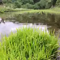 高司神社〜むすびの神の鎮まる社〜の周辺