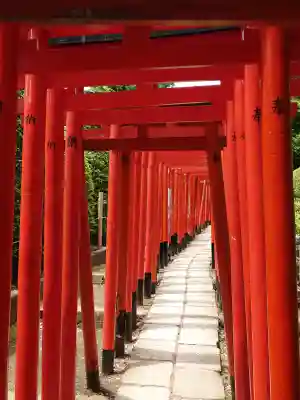 根津神社(東京都)