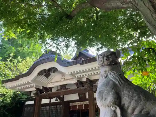 鳥越神社の狛犬