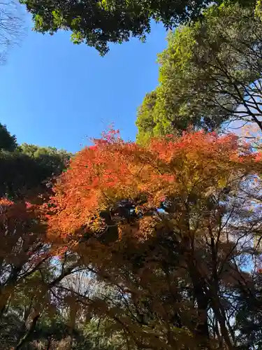 明治神宮の自然