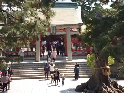 住吉大社(大阪府)