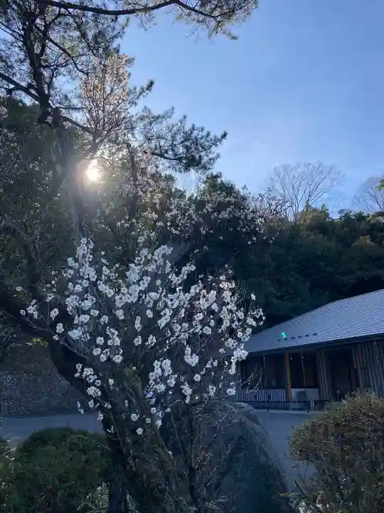 群馬県護国神社(群馬県)