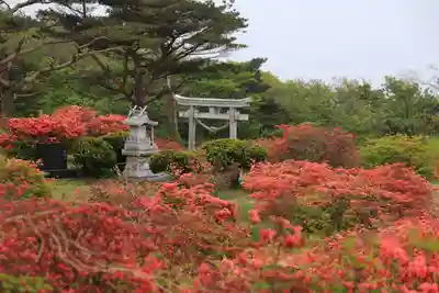 高柴山神社の本殿・本堂