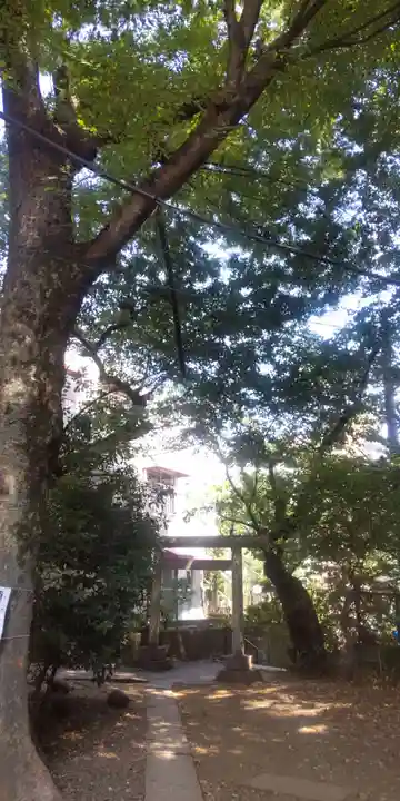 上目黒氷川神社(東京都)