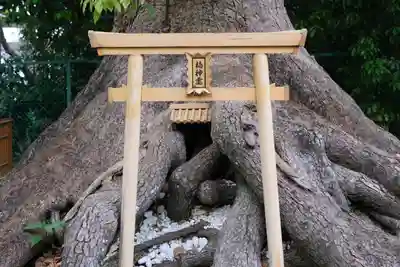 和泉國一之宮　大鳥大社の鳥居