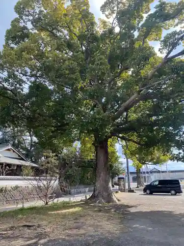 大宮神社(和歌山県)