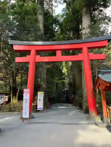 箱根神社の{uncategorized: "未分類", other: "その他", undefined: "問題あり", building: "その他建物", grave: "お墓", sacred_gate: "鳥居", guardian: "狛犬", statue: "像", buddha: "仏像", history: "歴史", nature: "自然", garden: "庭園", animal: "動物", pagoda: "塔", temizu: "手水舎", mountain_gate: "山門・神門", sanctuary: "本殿・本堂", subordinate: "末社・摂社", art: "芸術", scenery: "景色", jizo: "地蔵", ema: "絵馬", goshuin: "御朱印", omikuji: "おみくじ", items: "授与品その他", amulet: "お守り", goshuincho: "御朱印帳", eats: "食事", festival: "お祭り", votive_dance: "神楽", shichigosan: "七五三参", wedding: "結婚式", experience: "体験その他", initially: "初詣", around: "周辺", anti_infection: "感染症対策"}