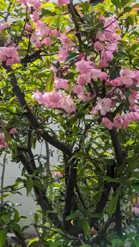 福田寺(京都府)