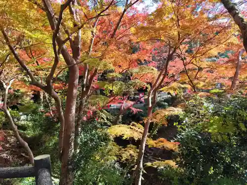 根来寺(和歌山県)