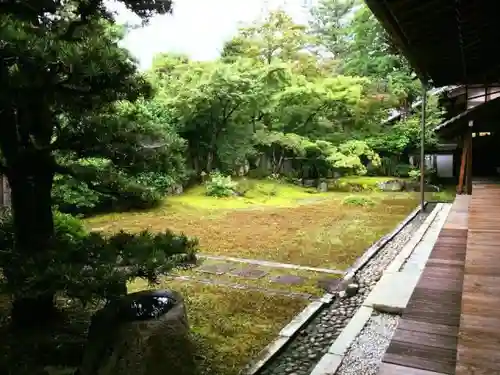 清凉寺の庭園