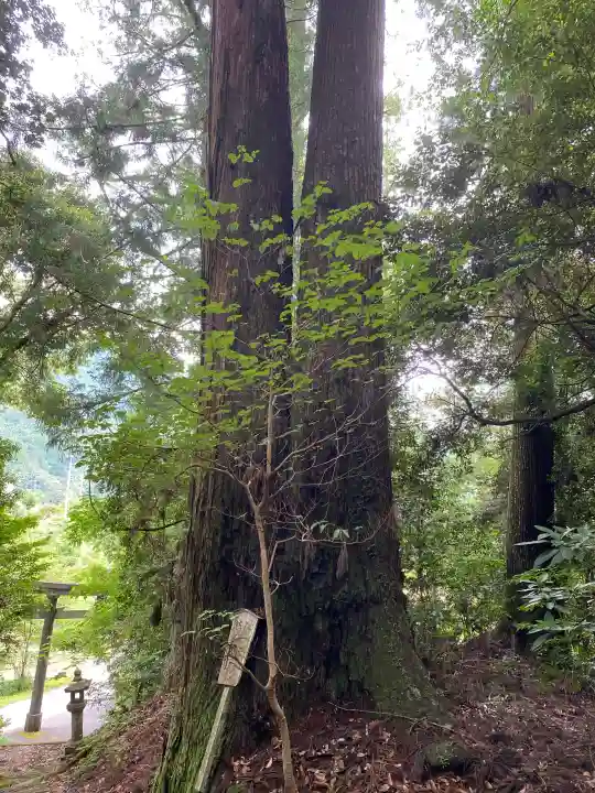 若一王子宮(高知県)