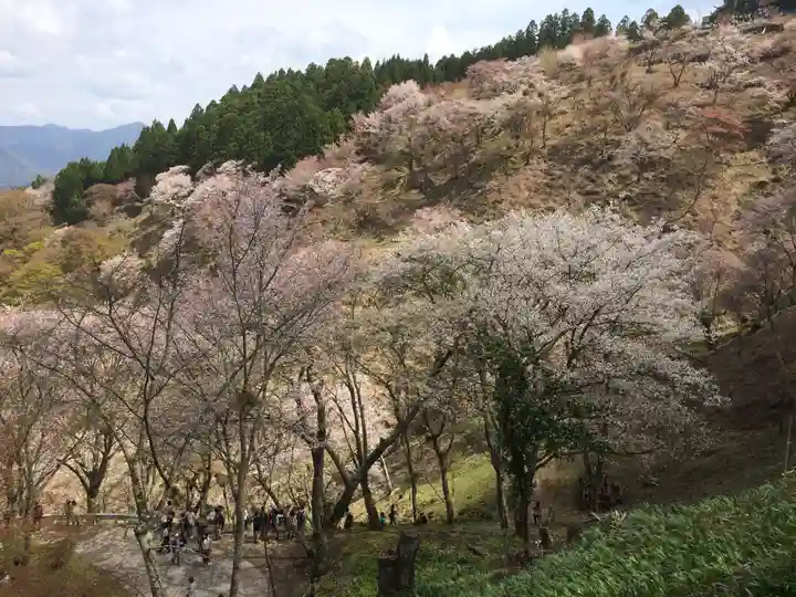 吉野水分神社(吉野町)の景色