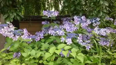 寛永寺(根本中堂)(東京都)