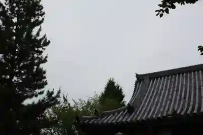  智積院(京都府)