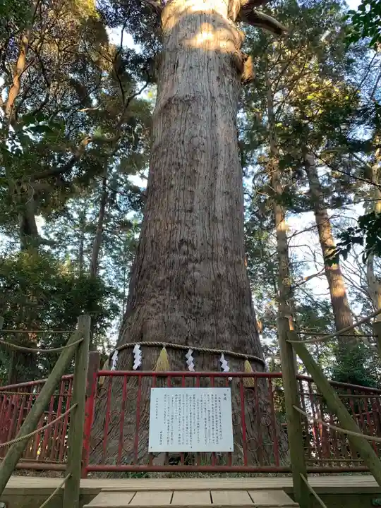 麻賀多神社(千葉県)