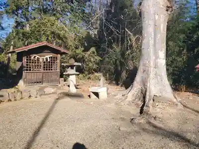 細井神社(群馬県)