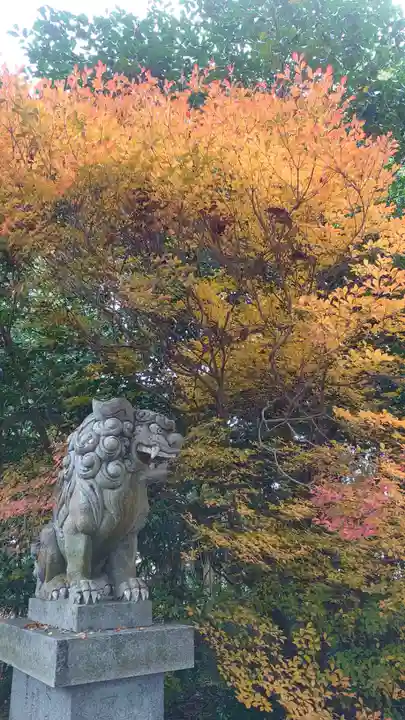 壹宮神社の狛犬