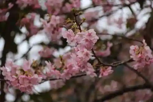 かっぱの寺 栖足寺の自然