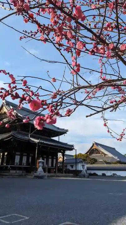 興正寺(京都府)