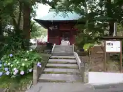 金乗院放光寺の本殿